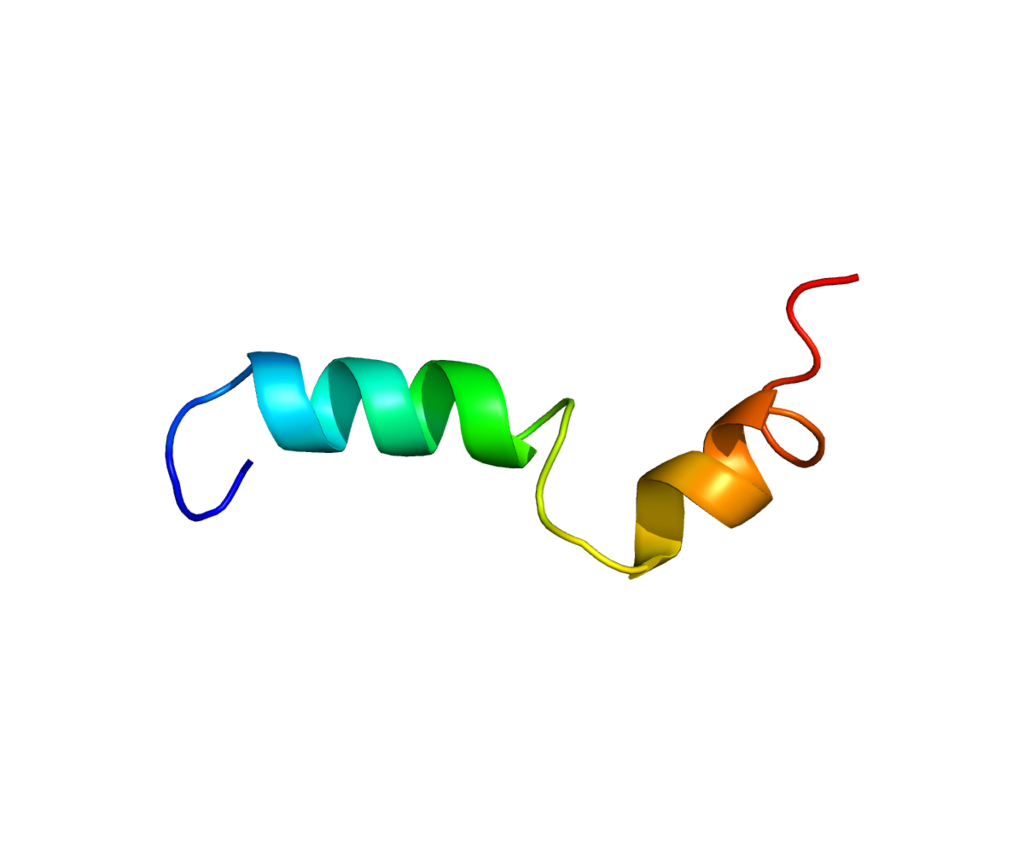 CBDa cb2 rezeptor